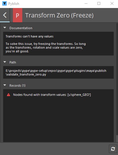 Failed Model Validator details
